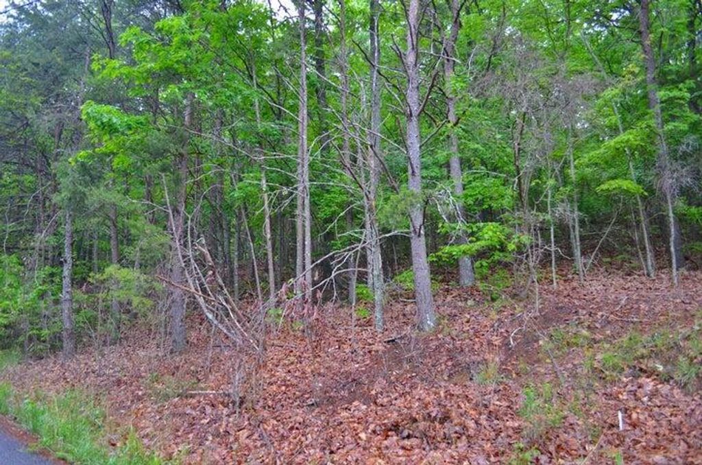 8805 Terrace Falls Drive, Soddy Daisy, TN 37379