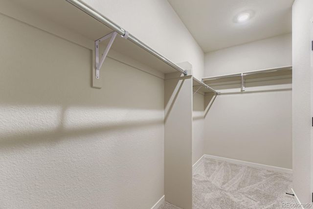 13784 Daffodil Way, Parker, CO 80134