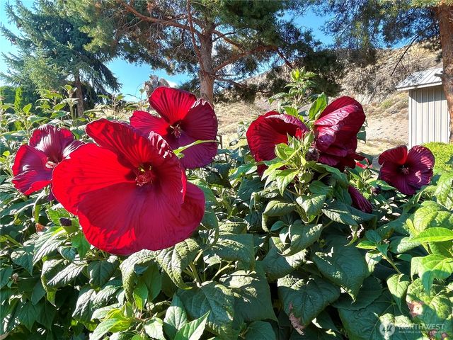 59 G Copple Road, Omak, WA 98841