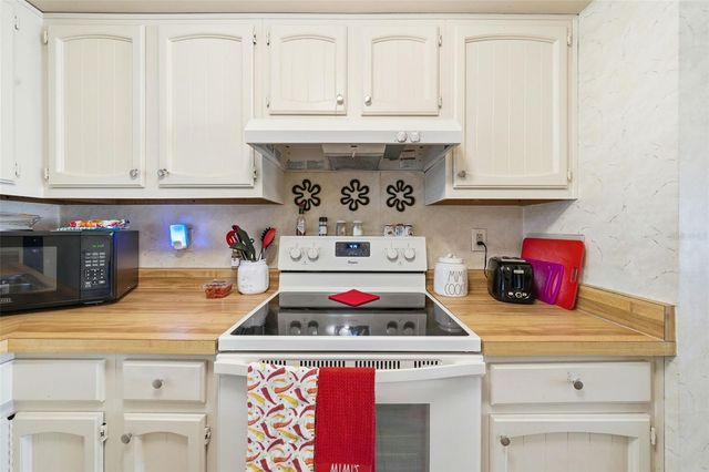 110 N TREMAIN STREET 109, Mount Dora, FL 32757