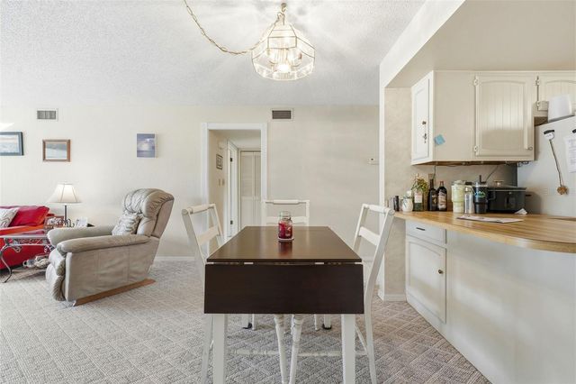 110 N TREMAIN STREET 109, Mount Dora, FL 32757