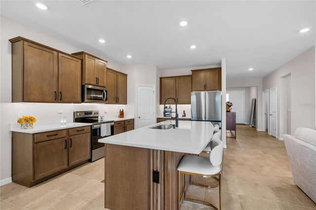 32516 OSPREY PEAK WAY, San Antonio, FL 33576