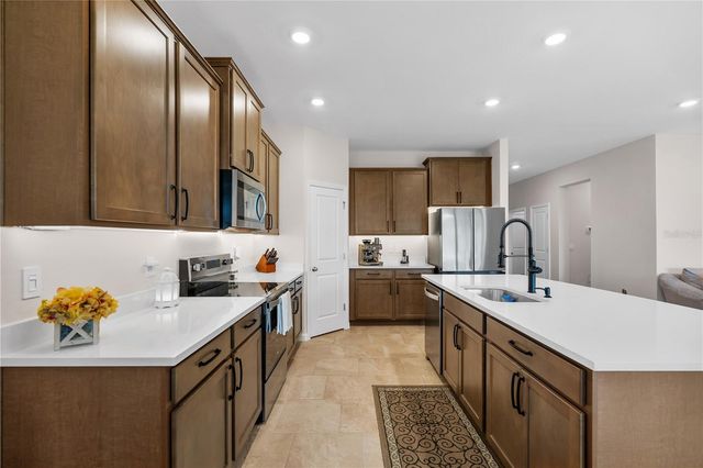 32516 OSPREY PEAK WAY, San Antonio, FL 33576