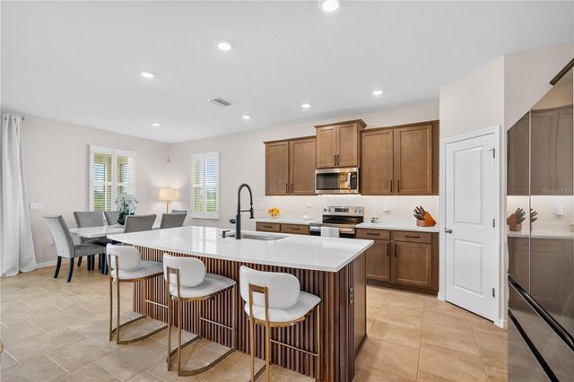 32516 OSPREY PEAK WAY, San Antonio, FL 33576