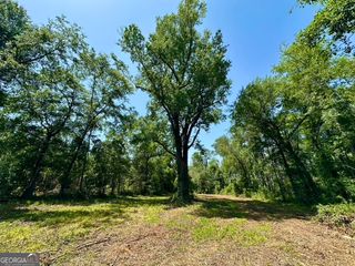 0 Bennett Colter Road, Cadwell, GA 31009