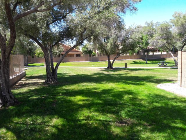 15852 N 50TH Street, Scottsdale, AZ 85254