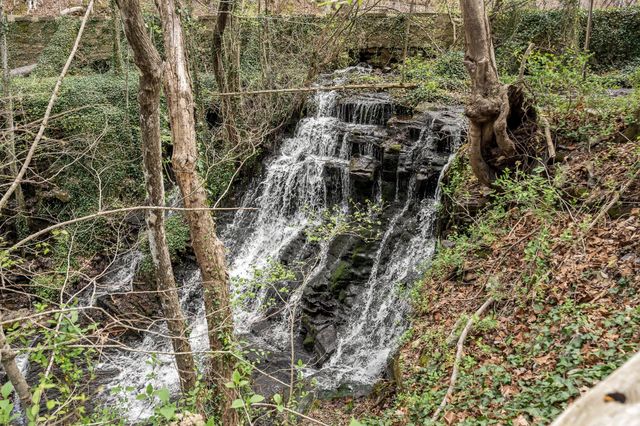 1195 SHIPMAN CREEK ROAD, Wartrace, TN 37183