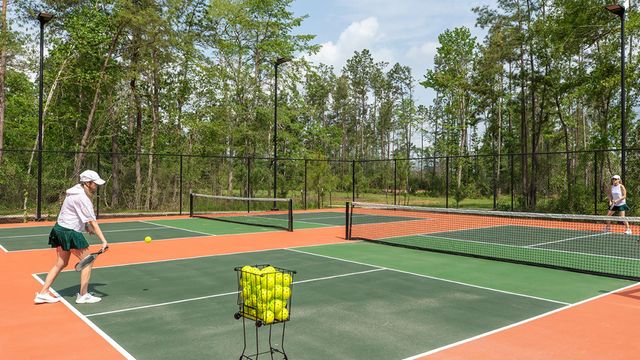 15818 Mossy Juniper Lane, Conroe, TX 77302