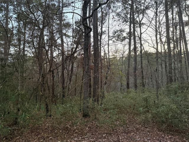 94 Green Tree Drive, Coldspring, TX 77331