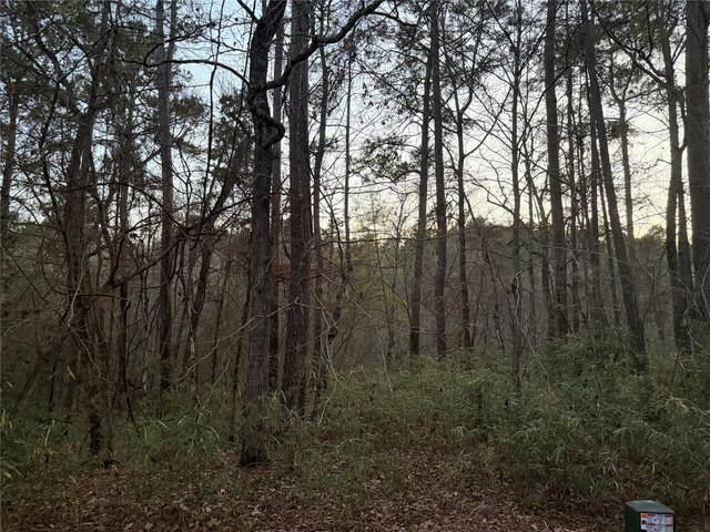 94 Green Tree Drive, Coldspring, TX 77331