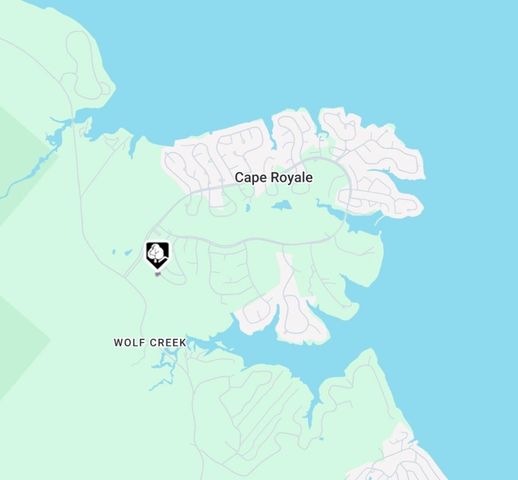 94 Green Tree Drive, Coldspring, TX 77331