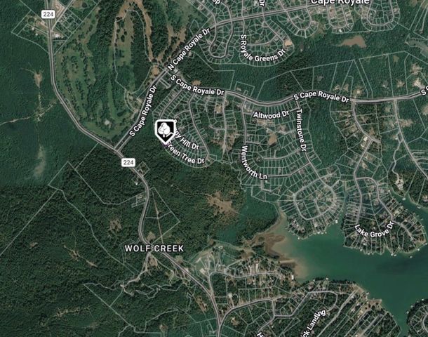 94 Green Tree Drive, Coldspring, TX 77331