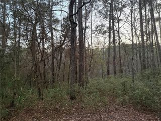 94 Green Tree Drive, Coldspring, TX 77331