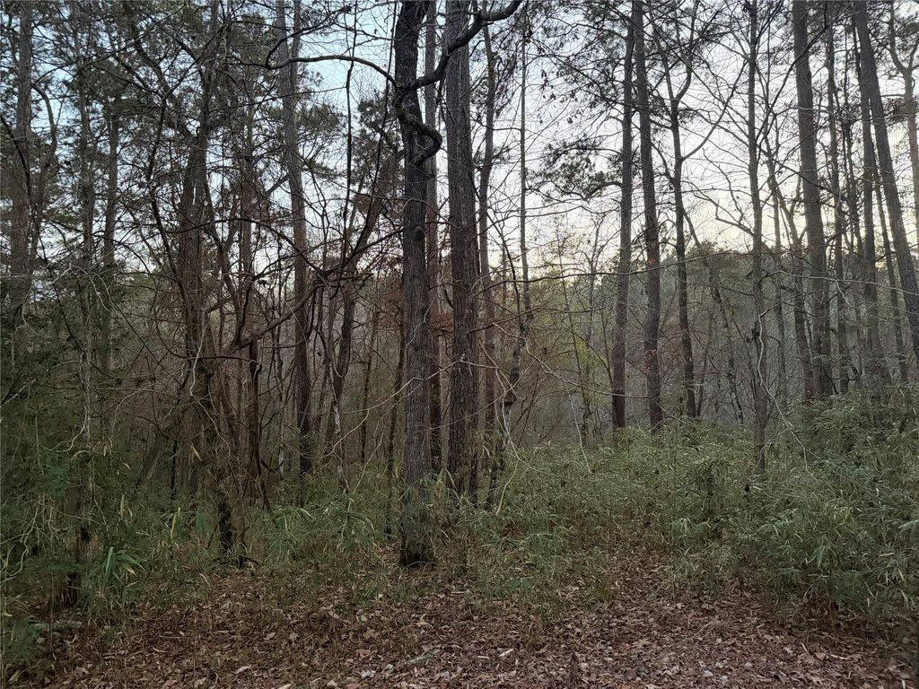 94 Green Tree Drive, Coldspring, TX 77331