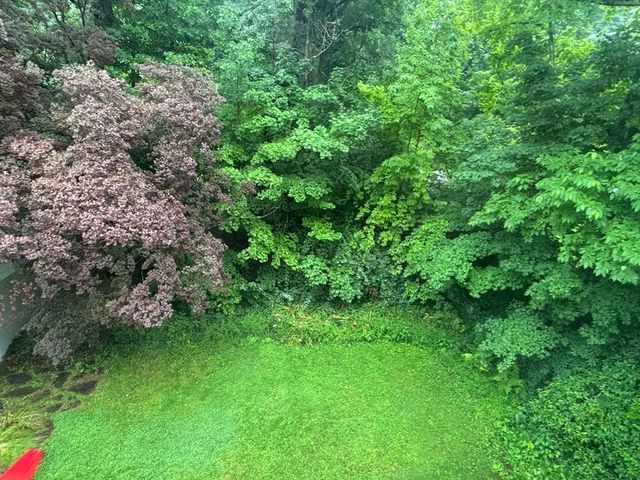 100 Dana, Amherst, MA 01002