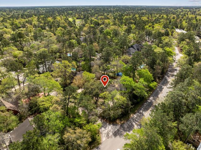 1 Cape Chestnut Drive, The Woodlands, TX 77381