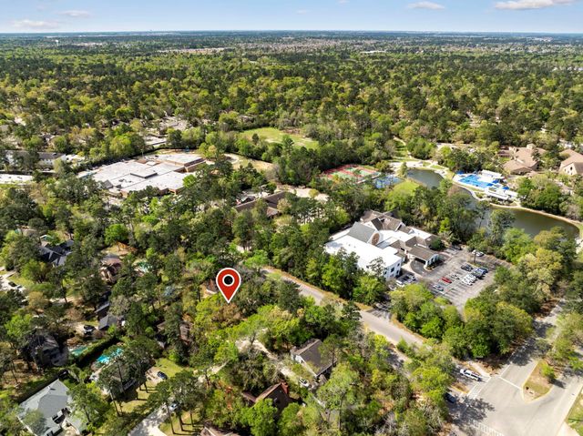 1 Cape Chestnut Drive, The Woodlands, TX 77381