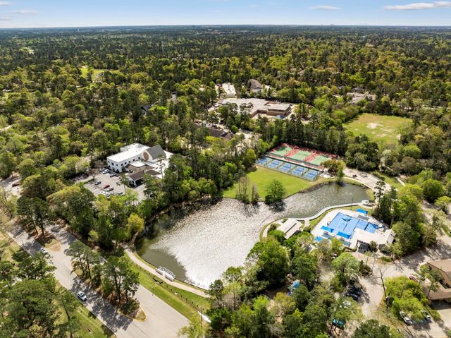 1 Cape Chestnut Drive, The Woodlands, TX 77381