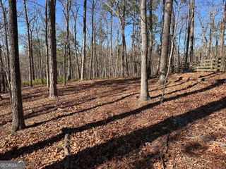 0 SWALLOW Drive, White, GA 30184