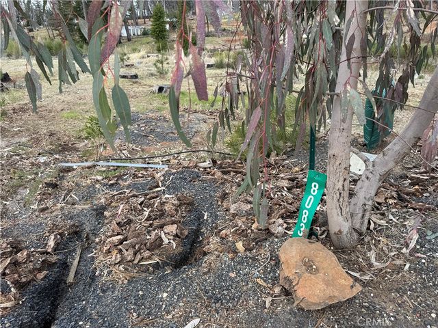 8083 Skyway, Paradise, CA 95969