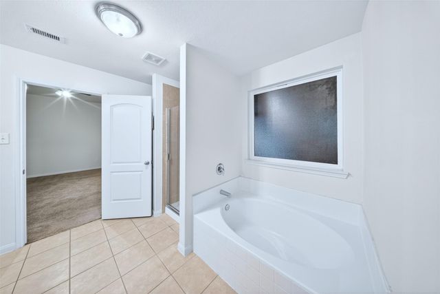 10913 Panther Court, Houston, TX 77099