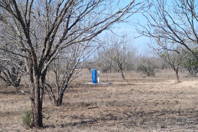 146 Frio Estates Dr, Moore, TX 78057