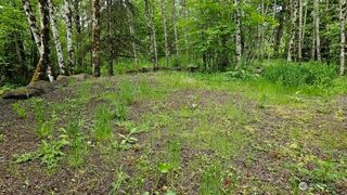 136 Peppermill Road, Kelso, WA 98626