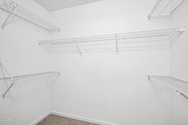 105 Mckenzie Circle, Clayton, NC 27520