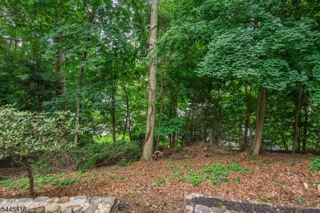 38 Valley View Ave, Summit City, NJ 07901