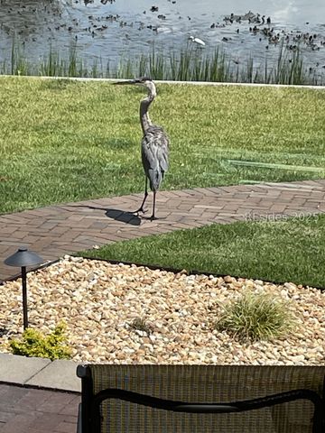 102 Cutter Cir, Bluffton, SC 29909