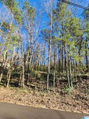 4437 VICKSBURG DRIVE, Birmingham, AL 35210