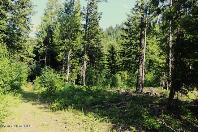 NKA Slippery Slope Trail, Priest River, ID 83856
