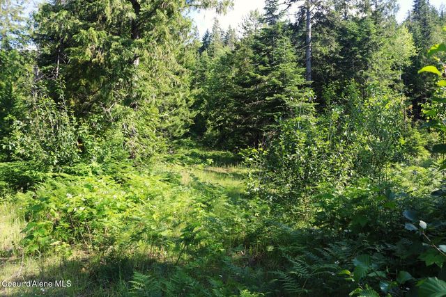 NKA Slippery Slope Trail, Priest River, ID 83856