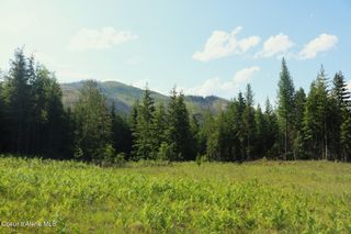 NKA Slippery Slope Trail, Priest River, ID 83856