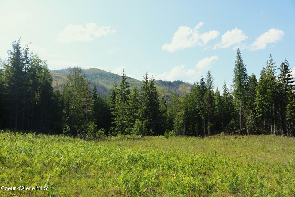 NKA Slippery Slope Trail, Priest River, ID 83856