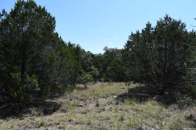 291 Serenity Pass, Spring Branch, TX 78070