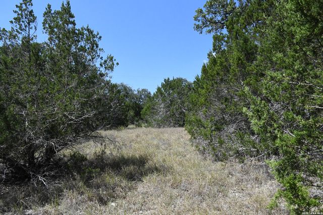 291 Serenity Pass, Spring Branch, TX 78070