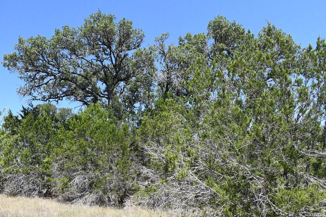 291 Serenity Pass, Spring Branch, TX 78070