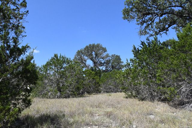 291 Serenity Pass, Spring Branch, TX 78070