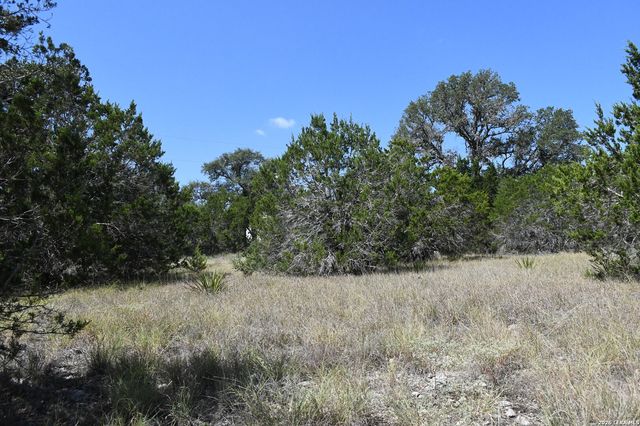 291 Serenity Pass, Spring Branch, TX 78070
