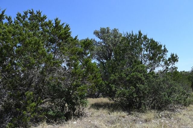 291 Serenity Pass, Spring Branch, TX 78070