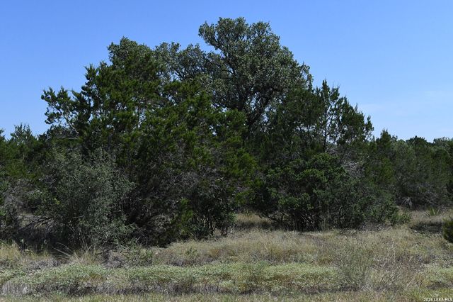 291 Serenity Pass, Spring Branch, TX 78070