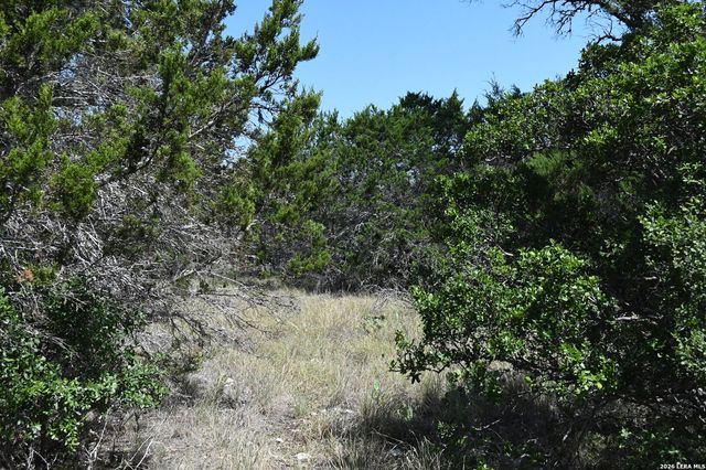 291 Serenity Pass, Spring Branch, TX 78070