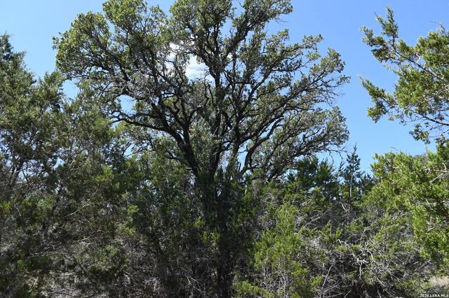 291 Serenity Pass, Spring Branch, TX 78070
