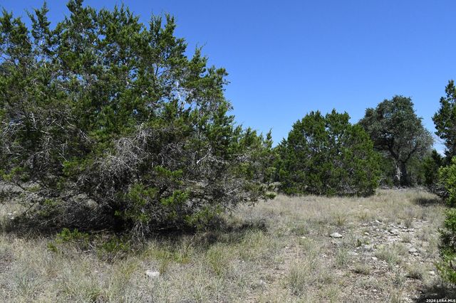 291 Serenity Pass, Spring Branch, TX 78070