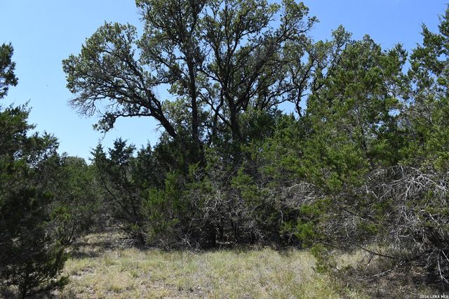 291 Serenity Pass, Spring Branch, TX 78070