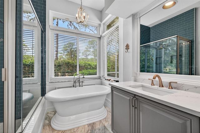 17805 GREEN WILLOW DRIVE, Tampa, FL 33647