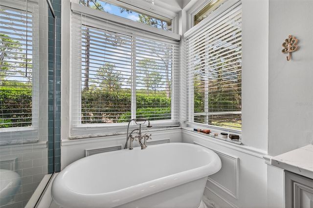 17805 GREEN WILLOW DRIVE, Tampa, FL 33647