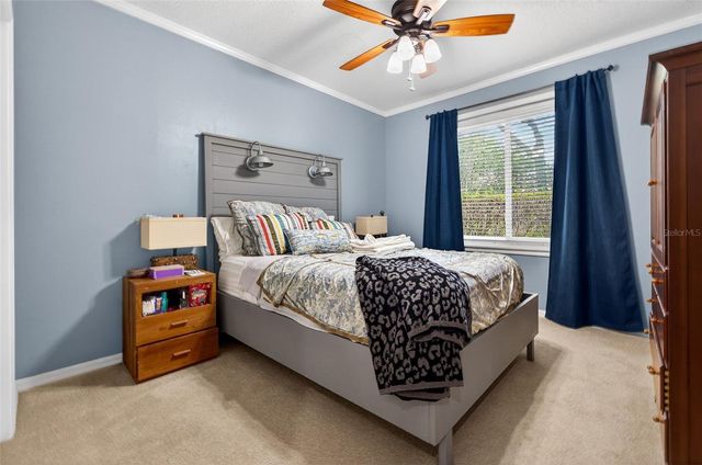 17805 GREEN WILLOW DRIVE, Tampa, FL 33647