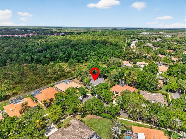 17805 GREEN WILLOW DRIVE, Tampa, FL 33647